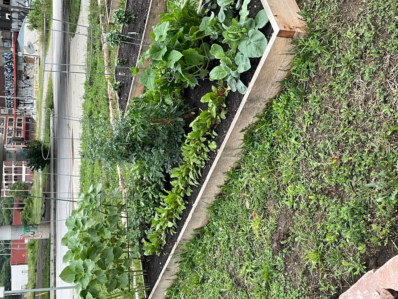 Historic West Bottoms - Image 3