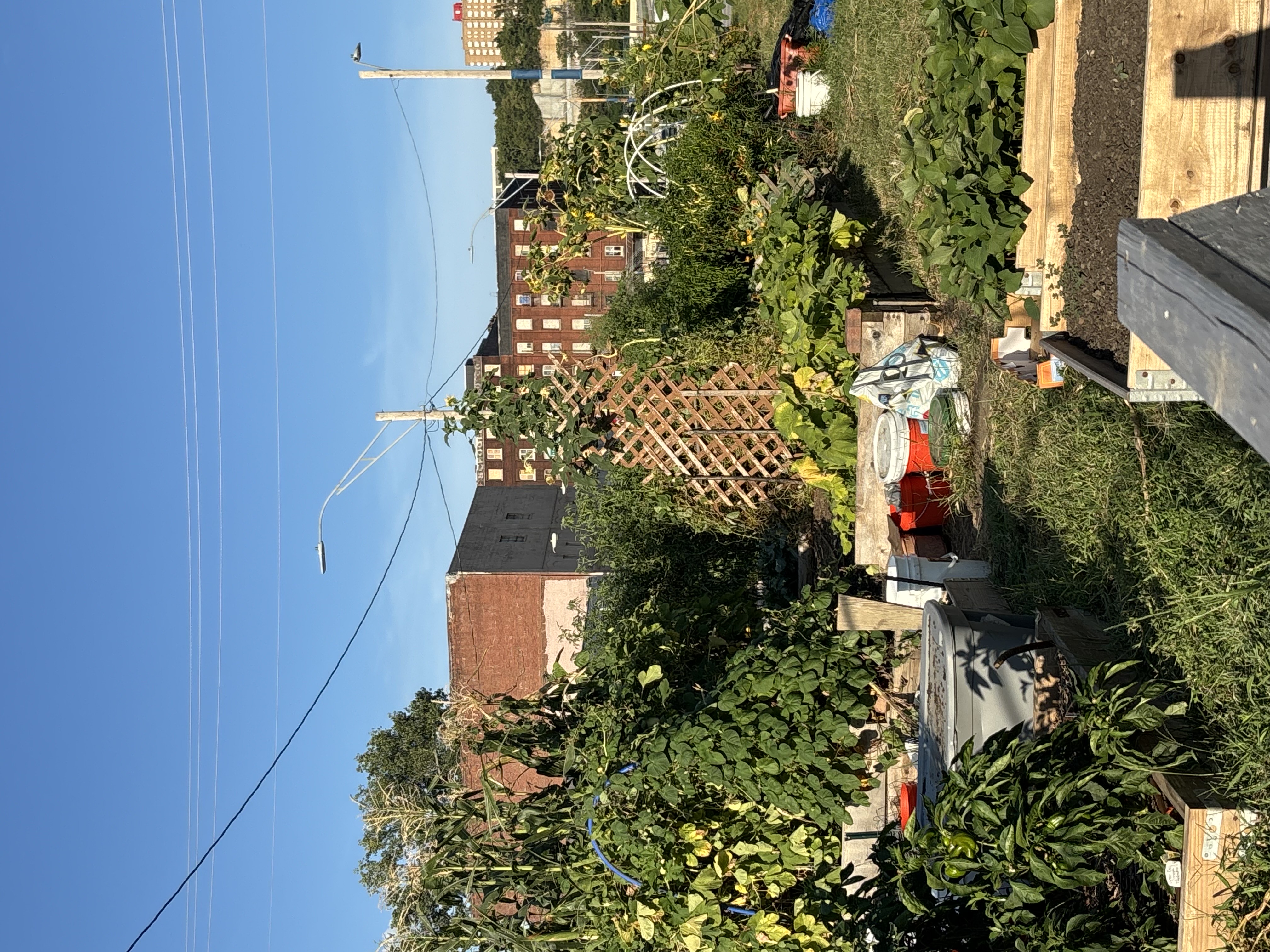 Historic West Bottoms - Image 2