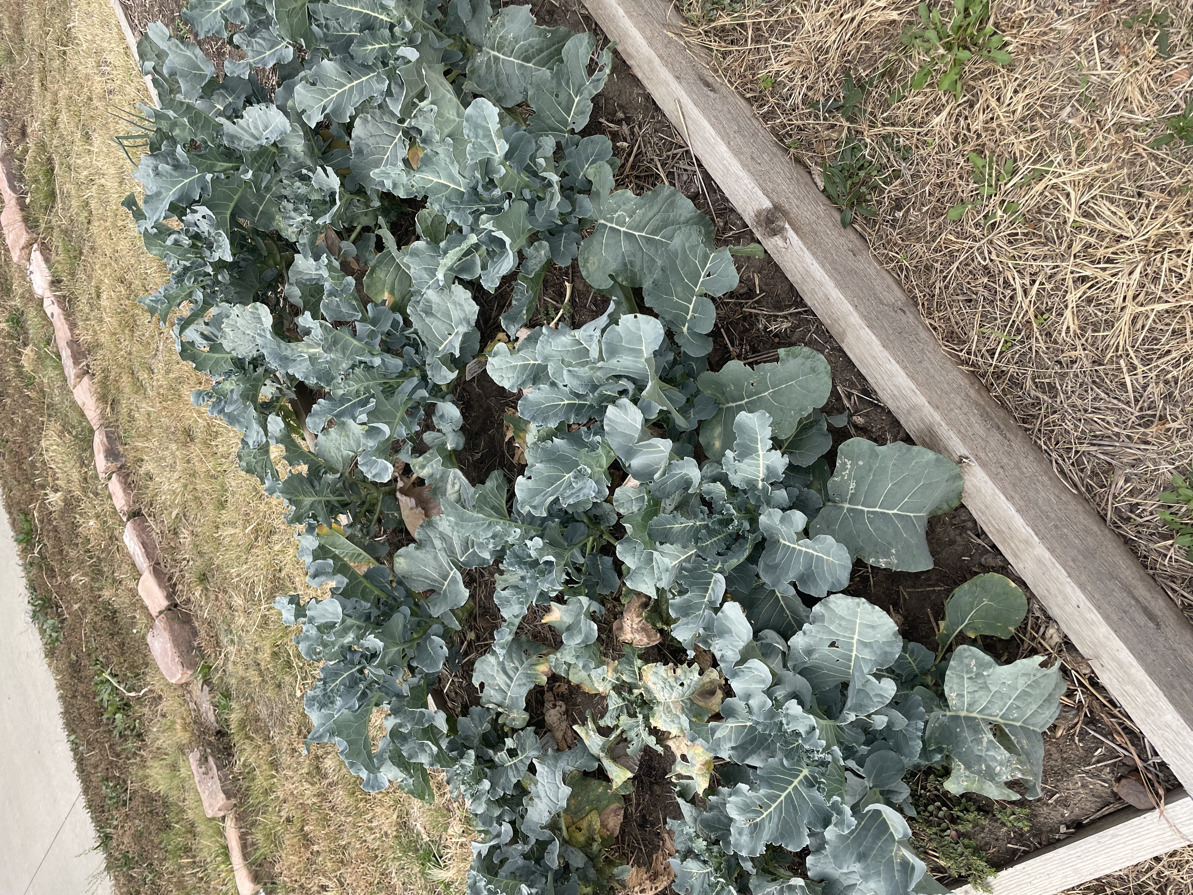 Historic West Bottoms - Image 4